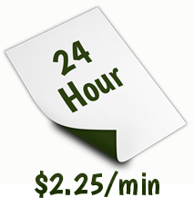 24 Hour Transcription Service (1 day).